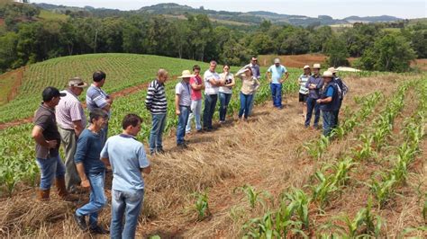 Dia Nacional Da Extens O Rural Celebrado Pela Emater Rs Ascar R Dio