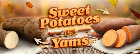 Do You Know The Difference Between Sweet Potatoes And Yams Simplemost Hot Sex Picture