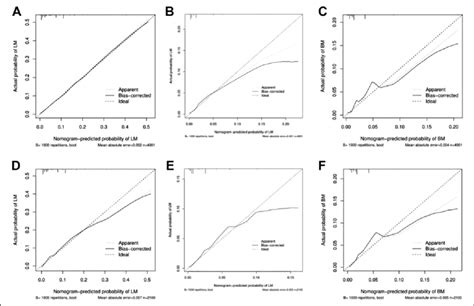 The Calibration Curves Of The Nomograms For Predicting Lung A Liver