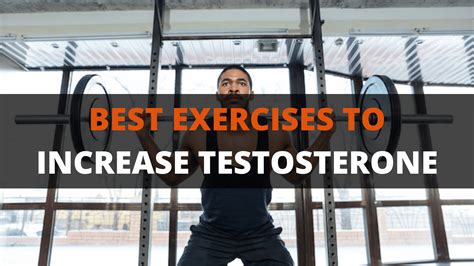 The 3 Best Exercises To Increase Testosterone PowerliftingTechnique