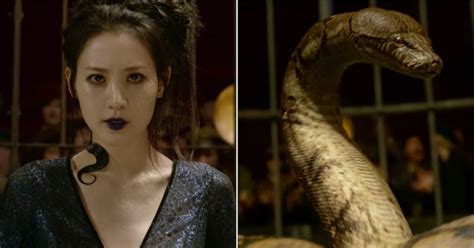 Maledictus Harry Potter - What Is A Maledictus? J.K. Rowling Explains Nagini's 'Harry Potter ...