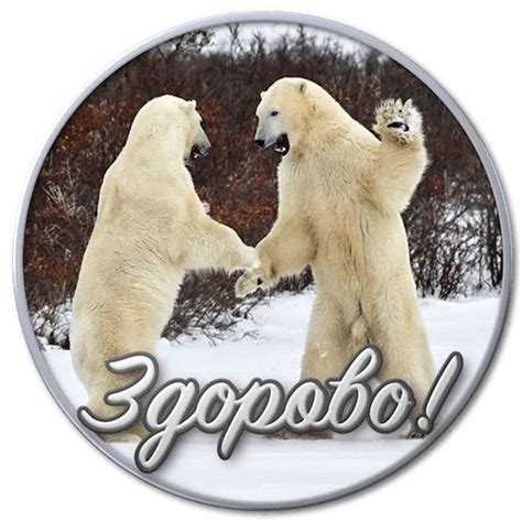 Набор стикеров для Telegram «Сибирский Валенок»