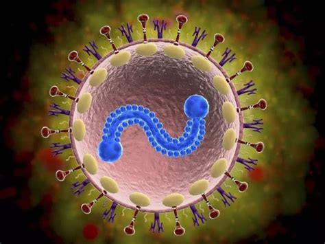 Breakthrough In Syncytial Virus Vaccine Research - News - Shaanxi ...