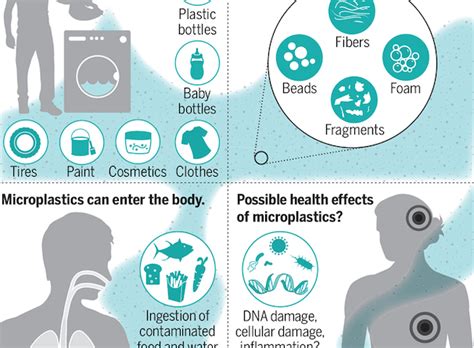 Microplastics And Human Health Kissamos News