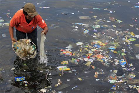 Ocean Pollution How Much Plastic Do Fish Eat World Economic Forum