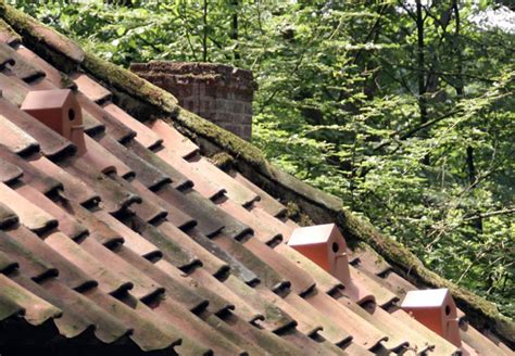 Birdhouse Roof Tiles - Urban Gardens