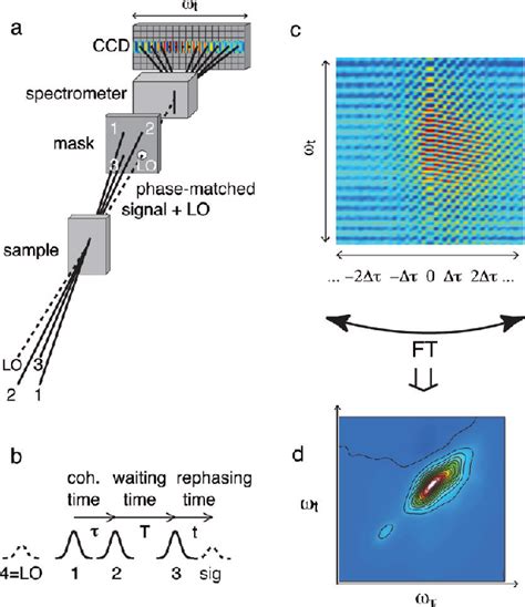 Figure From Two Dimensional Electronic Spectroscopy Of Molecular