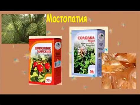Травы от мастопатии - YouTube