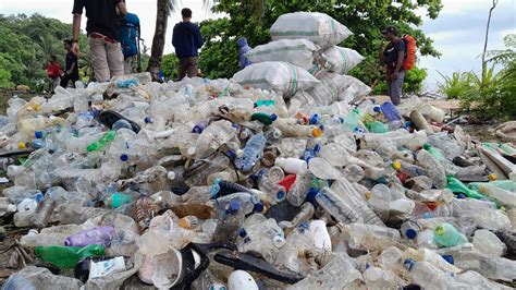 Edukasi Usia Dini Solusi Masalah Sampah Plastik Di Wakatobi