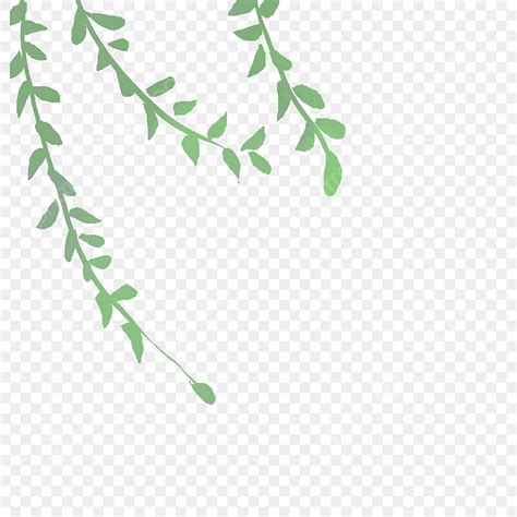 Green Branches White Transparent Green Branches Free Illustration