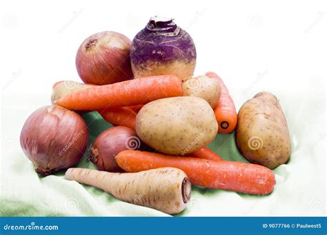 Root Vegetables On White Stock Photography Cartoondealer