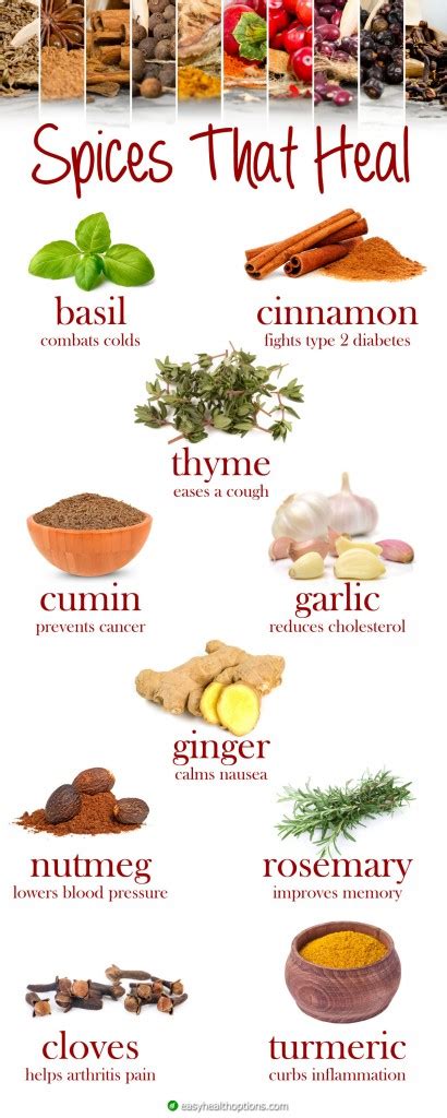 spices  heal infographic easy health options