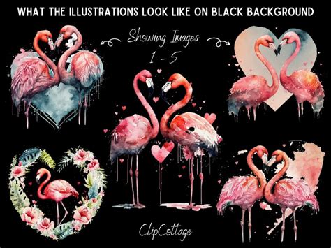 Valentines Flamingos Clipart Png Sublimation Bundle Etsy