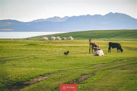 Best Time to Visit Kyrgyzstan - Kalpak Travel