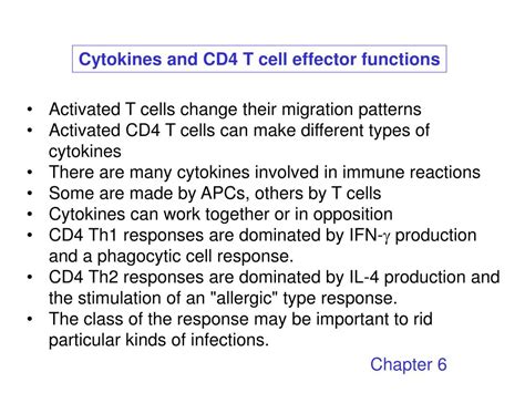 PPT - Cytokines and CD4 T cell effector functions PowerPoint ...