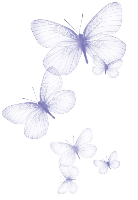 Transparent Background Butterflies