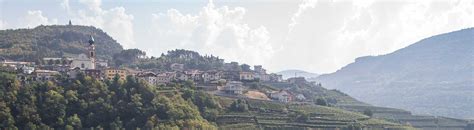 Vini In Trentino E Vitigni Autoctoni Vini Di Cantine Monfort