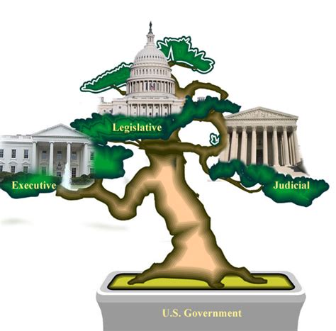 Branches Of Government Tree