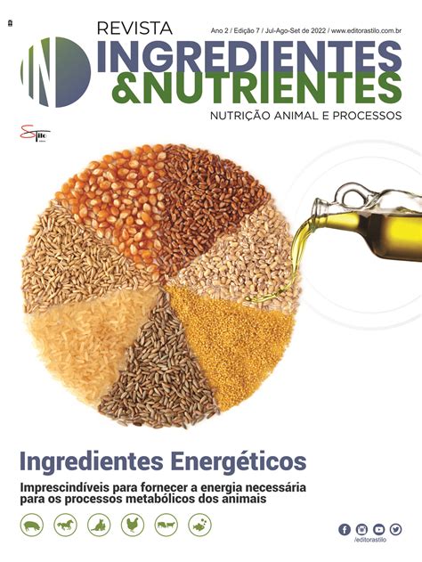 Principais Fontes De Proteína Blog Da Mimis Nutrição E Dietética