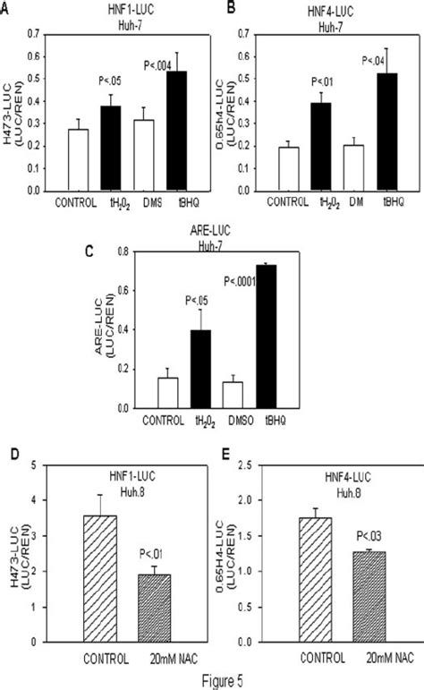 Ros Induces The Human Hnf1 And Hnf4 Promoter In Huh 8 Cells A And B Download Scientific