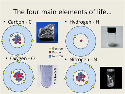 Ppt The Chemistry Of Life Powerpoint Presentation Id6348408