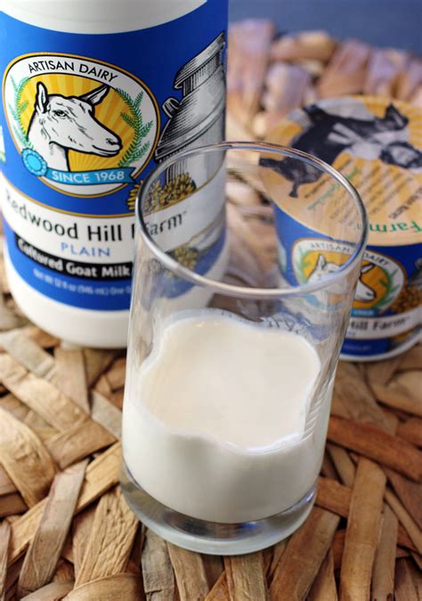 goat milk yogurt | Food Gal