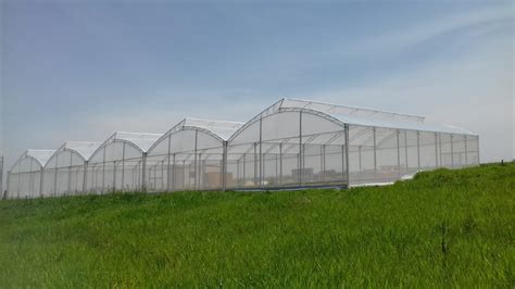 Produção em estufa agrícola conhecendo essa vantajosa estrutura