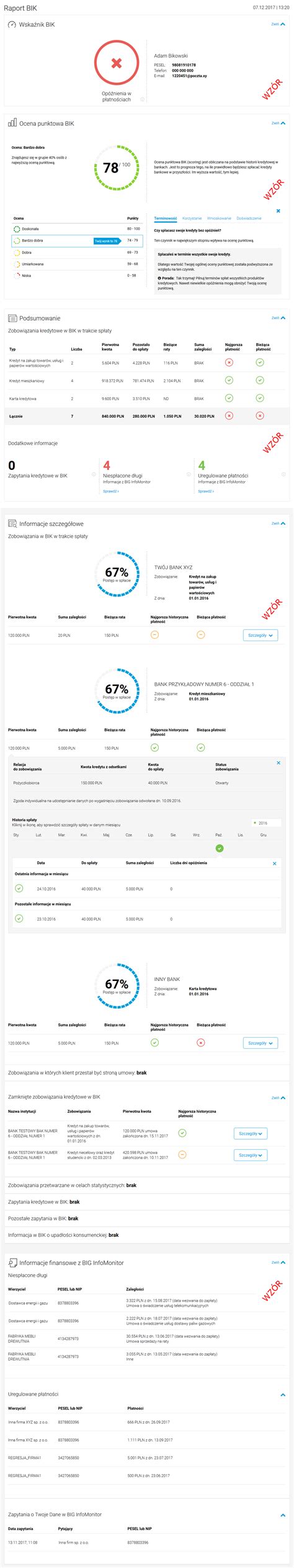 Raport BIK Demo Biuro Informacji Kredytowej