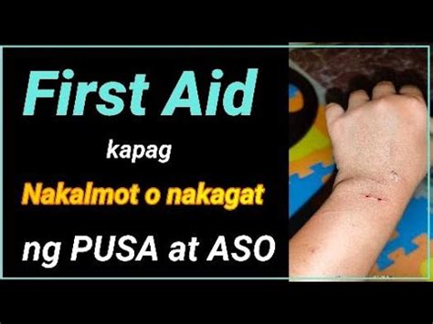 First Aid Sa Kalmot O Kagat Ng Aso At Pusa April Winners Hunter S