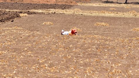 Drought forces farmers into Bengaluru slums