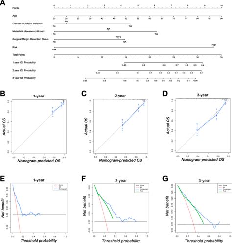 A Nomogram Based On Immune Related Prognostic Signature And Prognostic