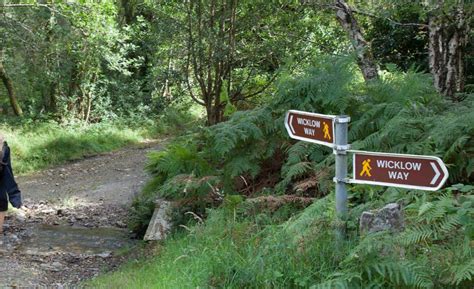 15 Best Dublin Hikes in 2024 - Vacations Planned