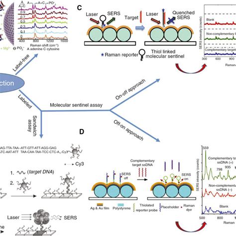 Approaches For Sers Based Dna Detection A Label Free Dna Detection Download Scientific