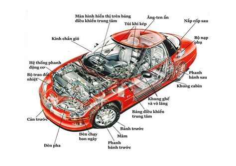 Cấu Tạo Bộ Truyền Động Xích Gồm Mấy Bộ Phận Tìm Hiểu Chi Tiết và Đầy Đủ