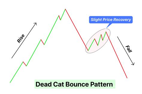 Dead Cat Bounce Pattern Explained Forexbee