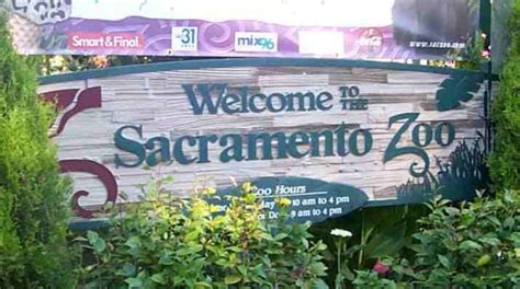 Sacramento Zoo, Sacramento, CA - California Beaches