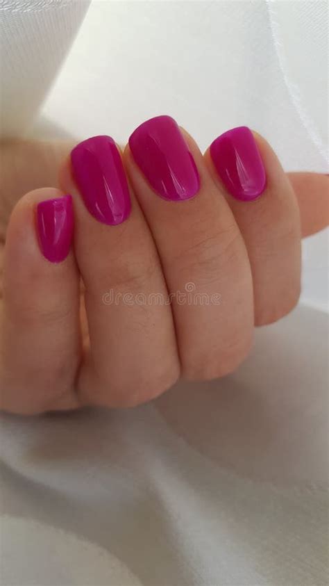 Fuchsia Color Gel Polish Nails Stock Photo Image Of Style Fuchsia