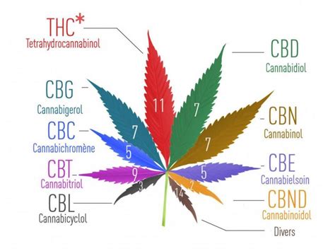 Infographie Questions Sur Le Cannabis M Dical En Vente En