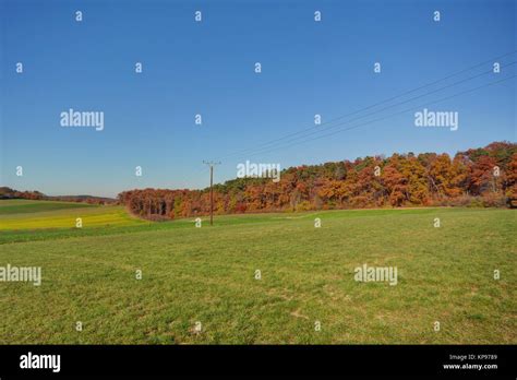 Autumn Fields And Forests Stock Photo Alamy