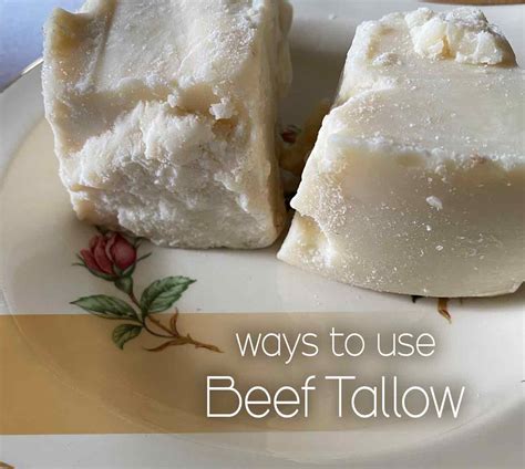 3 Great Ways To Use Beef Tallow Life In The Green House