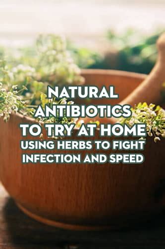 Natural Antibiotics To Try At Home Using Herbs To Fight Infection And