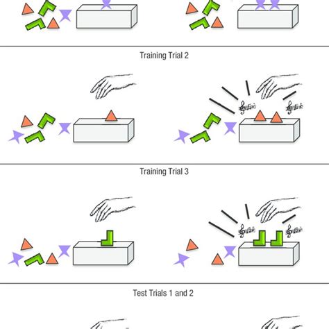 Schematic Representation Of The Training And Test Trials In Experiment