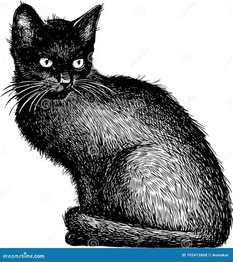 Albums 100 Pictures Drawing Of A Black Cat Excellent