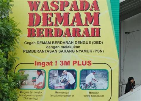 Demam Berdarah Madiun Bulan Rsud Dolopo Madiun Rawat Pasien Db