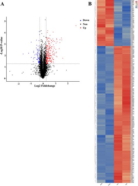 Volcano And Cluster Heat Map Analysis Of Deps Between Pss And Npss A