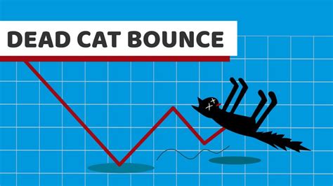 Ketahui Cara Mengenali Dead Cat Bounce Dan Penyebabnya