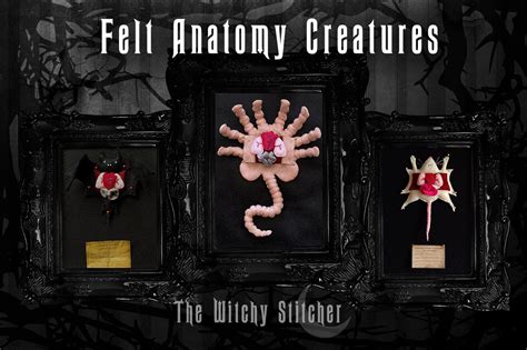 Mus Musculus Felt Anatomy Biology Gothic Creepy Cute Etsy