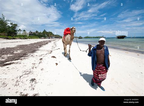 Watamu Beach Kenya Africa Stock Photo Alamy