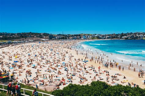 MIRA El ataque de un tiburón en la playa de Bondi deja a un hombre sin