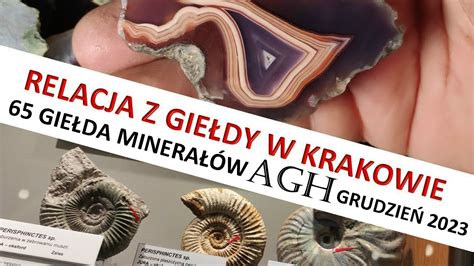 Relacja Z Gie Dy Minera W W Agh Krak W Mineral Show Sale